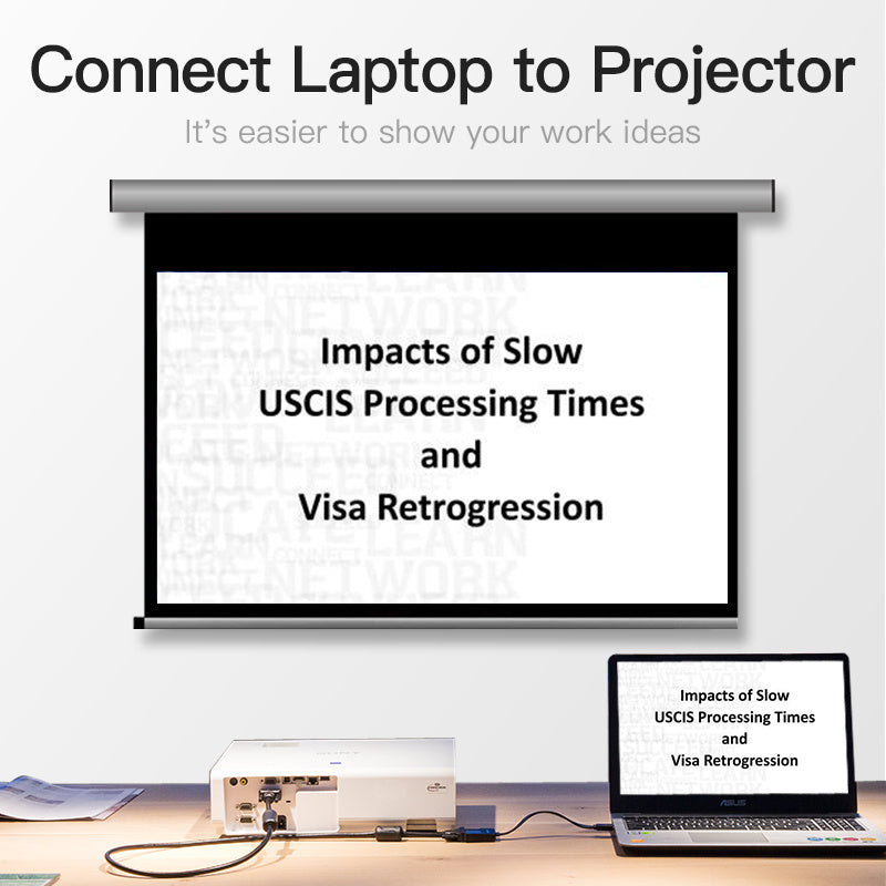 Computer monitor conversion