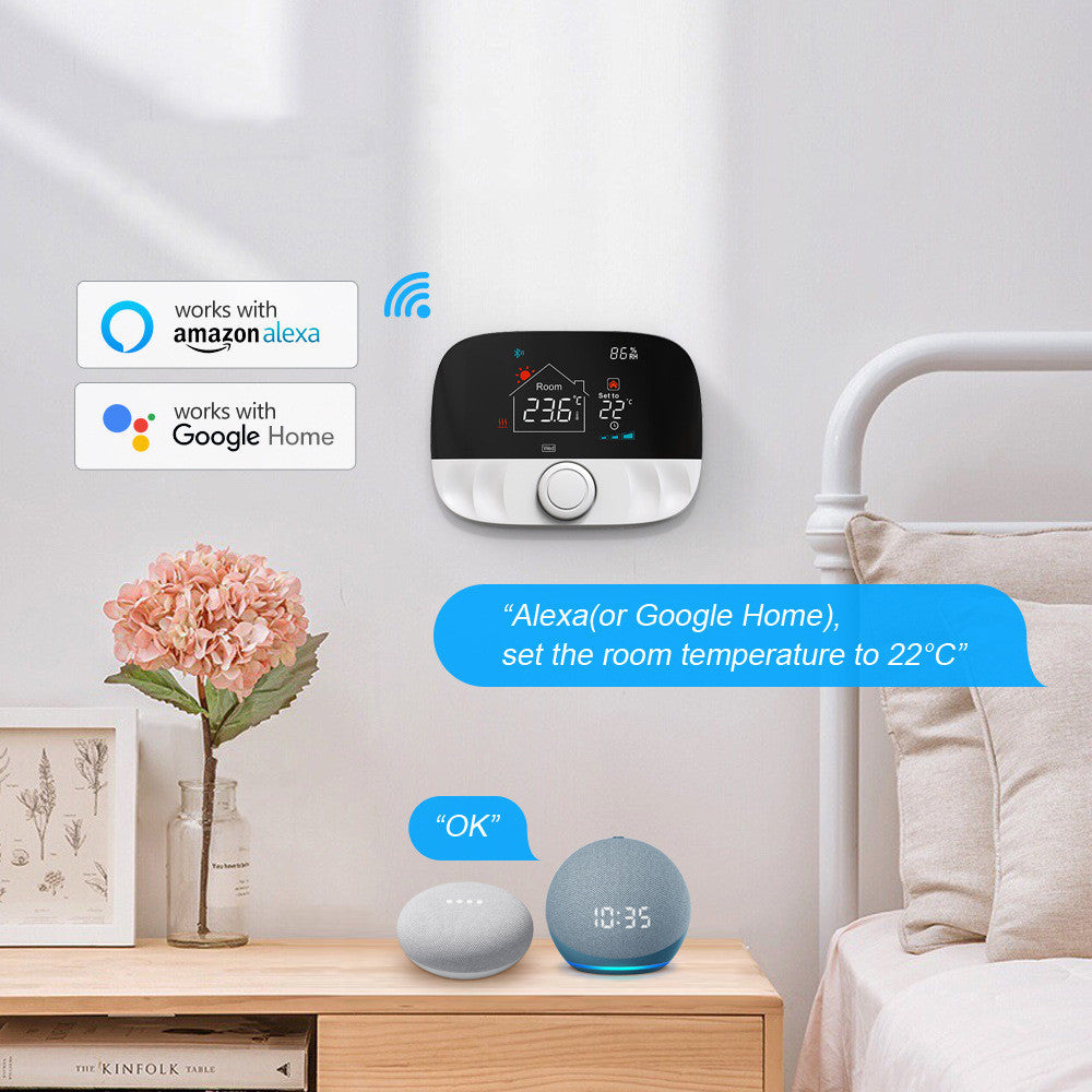 Water Heating Gas Boiler Thermostat