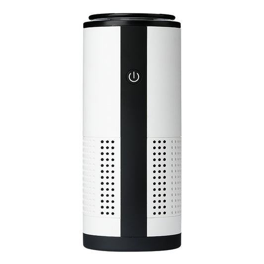 Negative ion vehicle air purifier