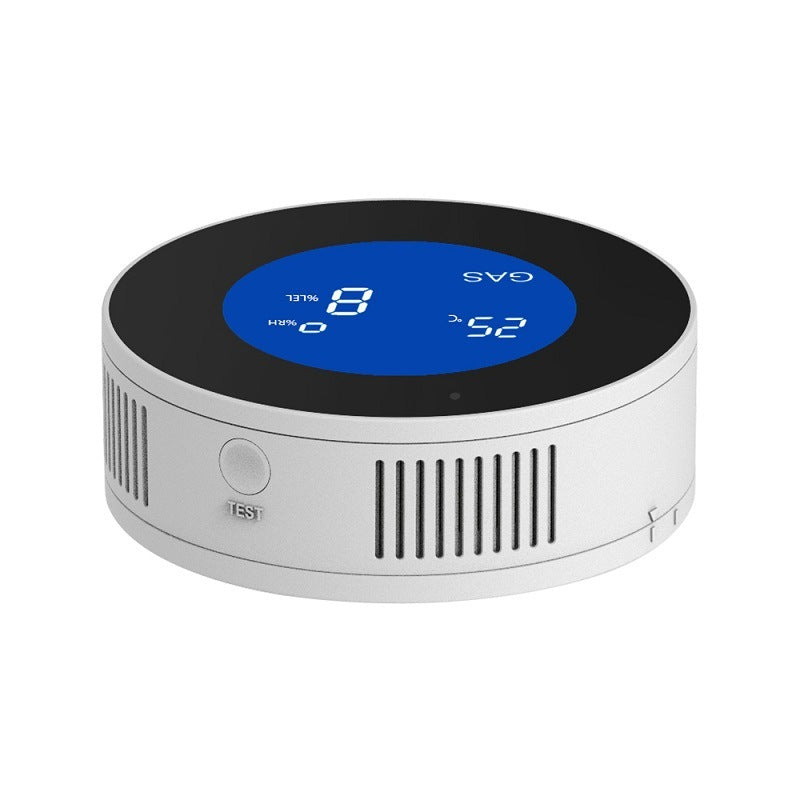 Gas leak detector